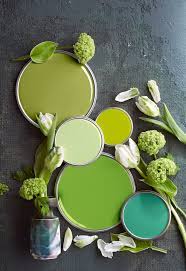Dickblick.com has been visited by 10k+ users in the past month Nature Inspired Color Palettes Better Homes Gardens