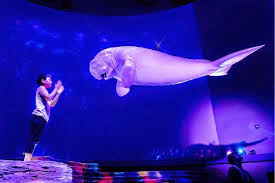 قناديل خدعة الهولوغرام وتقنية الشعاع الأزرق هل نحن فعلا أمام خطر هجوم كائنات فضائية على الأرض كما يقول ستيفن هوكينغ أبرز علماء الفيزياء