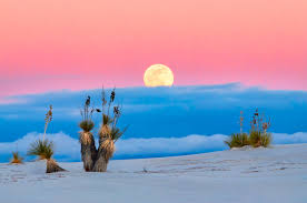 White sands national monument protects an area of 275 square miles in the heart of southern new mexico's tularosa basin. Yes Magazine Welcome To The Newest National Park In New Mexico