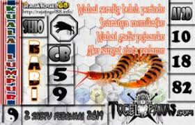 2d 2d Hongkong Pasti Tembus 3d 4d 4d Hari Ini Keluar 4d Singapore Live Agen Togel Agen Togel Terpercaya Aki Wilson Angka Bocoran Hongko Mainan Februari
