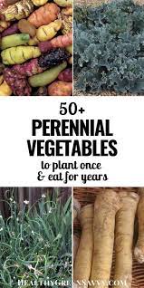 50 Perennial Vegetables To Plant Once And Harvest For Years Perennial Vegetables Veg Garden Home Vegetable Garden