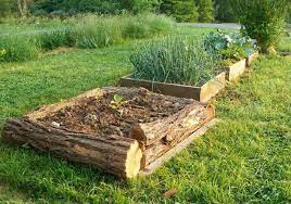 28 Best Diy Raised Bed Garden Ideas Designs Building A Raised Garden Raised Bed Garden Design Raised Garden