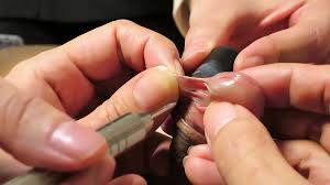 Getting Frenum Piercing Cock: Gay Porn