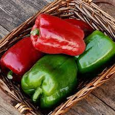 California Wonder 300 Pepper Seed Peppers Territorial Seed Company Stuffed Peppers Pepper Seeds Organic Seeds
