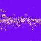 JOHNDOE @ WIESE JOHNDOE event image
