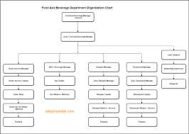 Coffee Shop Organizational Chart Sample Bedowntowndaytona Com