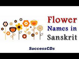 Flower Names In Sanskrit Youtube