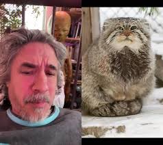 Adorable Cat Duet with Brother Pudge