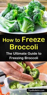 3tasty Ways To Freeze Broccoli In 2020 Frozen Broccoli Frozen Veggies Freezing Food Guide