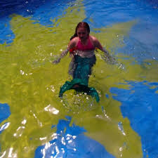 Fin Fun Mermaid Sightings Fin Fun Mermaid Fin Fun Beautiful Mermaids