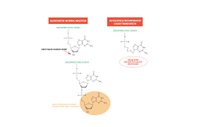 If you have serious symptoms you will be kept in hospital and isolated from other patients to prevent the virus spreading. Genital Herpes Treatment Plan Valacyclovir 1000mg Roman
