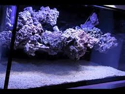 Jan 25 2015 minimalist aquascaping page 41 reef central online community. The Floating Reef Aquascape Tutorial By Coral Gardens En Youtube