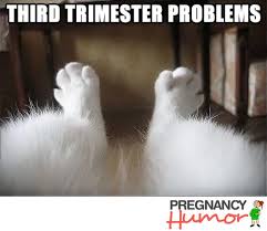 Third Trimester Problems Pregnancy Humor