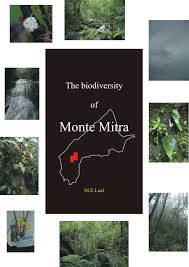 Image result for Strephonema sericeum