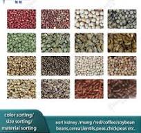 Optical Beans Color Sorter Chickpea/Lentils Color Sorting Machine