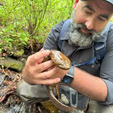 Amphibian and Reptile Conservancy