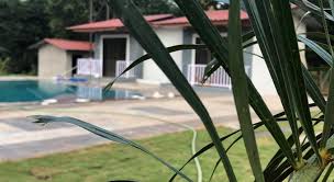 Maybe you would like to learn more about one of these? Shourya Farm Palasadari Karjat Prices Photos Reviews Address India