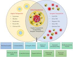 Image result for Ptycholobium contortum