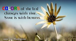True Quotes About Life Related To Yourself Daily Life Real Facts Get inspired with these great life quotes.