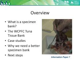 Seperti yang telah saya sampaikan pada artikel sebelumnya bahwa saya akan juga membagian contoh format surat perubahan spesimen. Developing A Pacific Community Marine Specimen Bank Ppt Download