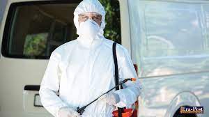 Apa yang dimaksud dengan pemeriksaan hama. Apa Itu Pest Control Dan Apa Saja Manfaatnya Era Pest