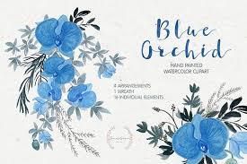 Blue Orchid Clipart Orchid Watercolor Watercolor Clipart Floral Clipart Wedding Invitation Png Clipart Hand Painted Wreath Clipart Blue Orchids Orchids Watercolor Clipart