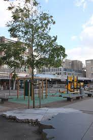 On funda you find 29 houses for sale in zevenkamp, rotterdam. Ambachtsplein Zevenkamp Rotterdam Rotterdam The Netherlands Zevenkamp Winkelcentrum Speeltuin