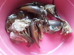 Check spelling or type a new query. Masak Ketam Nipah