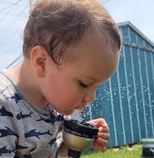 With spring approaching, Channel Islands National Park needs to be