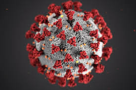 Could covid vaccine be taken as a pill? Home Carers Queensland