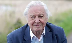 Sir David Attenborough recalls choosing the Queen's Christmas outfit HD  wallpaper