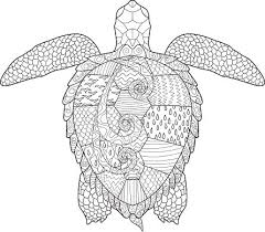 Illustration about adult coloring page turtle.zen art style illustration. Adult Antistress Coloring Page With Turtle Clipart Image