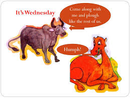 He still has his hump, he never did make up the lost time, and he still behaves badly. Ppt How The Camel Got His Hump Powerpoint Presentation Free Download Id 356714