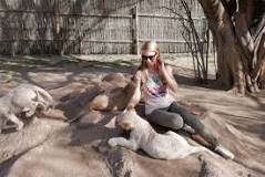 Petting a lion cub in South Africa (Lion & Safari park ...