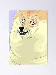 In this video i guide you through every.god bless america 12 gün önce. How To Draw Doge Step By Step Learn How To Draw