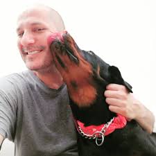 Adopta un peroo decian, va a ser alegre decian. Ahora esta tratando de  comerme esta. #rottilovers #dogsofinstagram #k9training #guateguau  #superguau