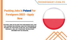 Image result for foreign jobs 2023