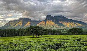 Tim templeton porn boy was the wait worth it!! She greeted