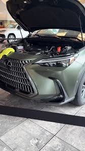 Image result for Nori Green 2025 LZ