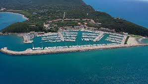 Bildergebnis für Ala D'Amico