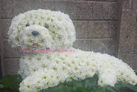 Up to 35% off at northwest vision development center. Dog From Flowers Buy Flowers Online