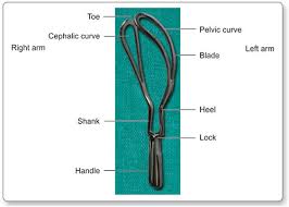 Piper's forceps allow the doctor to grasp the head in the case of a breech delivery. Jaypeedigital Ebook Reader