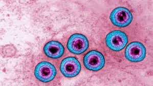 Hydrocolloid technology · stays for up to 12 hours · helps healing Living With Herpes Diagnosis Management And Dating Advice Teen Vogue