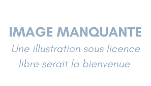 Marine le pen c'est toi la racaille. Kalash Criminel Wikipedia