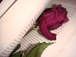 حبيتك أنا ضل اتذكر ها الكلمات حبيتك انا ضل اتذكر هالكلما Flickr