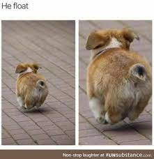 Pin On Funny Pictures