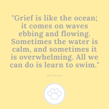 Losing a pet is difficult for anyone. 30 Comforting Quotes About Losing A Pet Southern Living