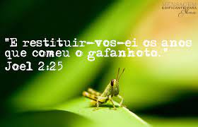 Caso sua restituição ainda não tiver sido creditada, entre em contato com o banco indicado para receber o pagamento. Vigilia Da Restituicao Photos Facebook