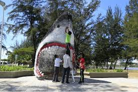 Address 88450 kota kinabalu, sabah, malaisie. Save Our Sharks University College Sabah Foundation