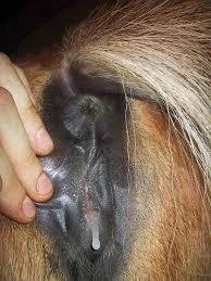 b/ - Random » Thread #851880803